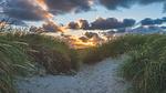 Untagged - Ferienhaus für 6 Personen (92 m²) in Hvide Sande - Top-Hundeurlaub