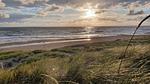 WaterView - Ferienhaus für 6 Personen (92 m²) in Hvide Sande - Top-Hundeurlaub