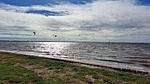 WaterView - Ferienhaus für 6 Personen (92 m²) in Hvide Sande - Top-Hundeurlaub