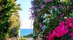 exterior - Ferienhaus für 3 Personen (45 m²) in Marina Di Modica - Top-Hundeurlaub