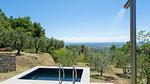 exterior - Ferienhaus für 3 Personen (40 m²) in Castiglione Fiorentino - Top-Hundeurlaub