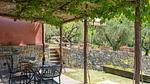 exterior - Ferienhaus für 3 Personen (40 m²) in Castiglione Fiorentino - Top-Hundeurlaub