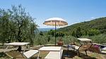exterior - Ferienhaus für 3 Personen (40 m²) in Castiglione Fiorentino - Top-Hundeurlaub