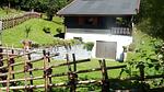 house - Ferienhaus für 4 Personen (80 m²) in Klippitztörl - Top-Hundeurlaub