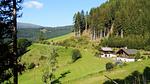 house - Ferienhaus für 4 Personen (80 m²) in Klippitztörl - Top-Hundeurlaub