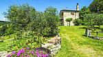 garden - Ferienhaus für 4 Personen (60 m²) in Scansano - Top-Hundeurlaub