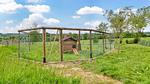 outside - Ferienhaus für 8 Personen (160 m²) in Grandmesnil - Top-Hundeurlaub