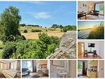 Landschaft - Ferienwohnung 3 - Top-Hundeurlaub