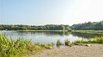 house - Ferienhaus für 8 Personen (100 m²) in Toftlund - Top-Hundeurlaub