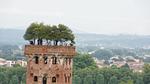 house - Ferienhaus für 8 Personen (150 m²) in Lucca - Top-Hundeurlaub
