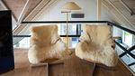 living-room - Ferienhaus für 8 Personen (170 m²) in Saltum - Top-Hundeurlaub