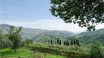 view-from-room - Ferienhaus für 10 Personen (130 m²) in San Quirico - Top-Hundeurlaub
