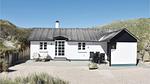 exterior - Ferienhaus für 4 Personen (44 m²) in Ulfborg - Top-Hundeurlaub
