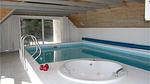 pool - Ferienhaus für 8 Personen (170 m²) in Ringkøbing - Top-Hundeurlaub