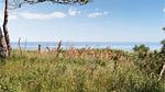 view-from-room - Ferienhaus für 8 Personen (110 m²) in Ebeltoft - Top-Hundeurlaub