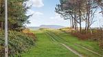view-from-room - Ferienhaus für 8 Personen (110 m²) in Ebeltoft - Top-Hundeurlaub