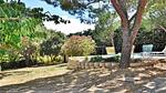 outside - Ferienhaus für 6 Personen (85 m²) in Rochefort Du Gard - Top-Hundeurlaub