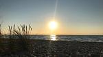 beach - Ferienhaus für 20 Personen (238 m²) in Græsted - Top-Hundeurlaub