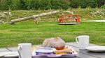 activities - Ferienhaus für 20 Personen (264 m²) in Ålbæk - Top-Hundeurlaub