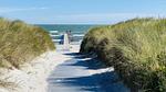 beach - Ferienhaus für 26 Personen (400 m²) in Jerup - Top-Hundeurlaub