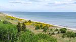 area - Ferienhaus für 14 Personen (189 m²) in Væggerløse - Top-Hundeurlaub