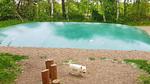 area - Ferienhaus für 14 Personen (189 m²) in Væggerløse - Top-Hundeurlaub