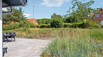 outside - Ferienhaus für 6 Personen (85 m²) in Asaa - Top-Hundeurlaub