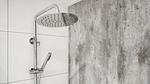 bathroom - Ferienhaus für 4 Personen (60 m²) in Hellendoorn - Top-Hundeurlaub