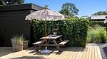 outside - Ferienhaus für 6 Personen (93 m²) in Rudkøbing - Top-Hundeurlaub