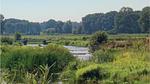 house - Ferienhaus für 6 Personen (59 m²) in Ommen - Top-Hundeurlaub