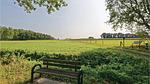 house - Ferienhaus für 6 Personen (59 m²) in Ommen - Top-Hundeurlaub