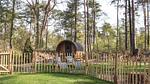 house - Ferienhaus für 6 Personen (59 m²) in Ommen - Top-Hundeurlaub