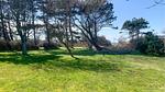 view-from-room - Ferienhaus für 4 Personen (39 m²) - Top-Hundeurlaub