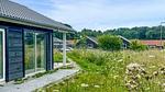 view-from-room - Ferienhaus für 10 Personen (115 m²) in Tranekær - Top-Hundeurlaub