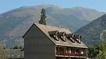 ExteriorSummer - Ferienwohnung für 5 Personen (25 m²) in Bagnères-de-Luchon - Top-Hundeurlaub