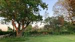 Untagged - Ferienhaus für 7 Personen (103 m²) in Ansager - Top-Hundeurlaub