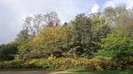Untagged - Ferienhaus für 7 Personen (103 m²) in Ansager - Top-Hundeurlaub