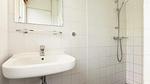 BathRoom - Bungalow für 4 Personen (51 m²) in Putten - Top-Hundeurlaub
