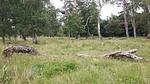 Untagged - Ferienhaus für 7 Personen (108 m²) in Væggerløse - Top-Hundeurlaub