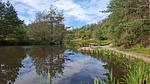 WaterView - Ferienhaus für 5 Personen (56 m²) in Oksbøl - Top-Hundeurlaub