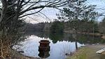 WaterView - Ferienhaus für 5 Personen (56 m²) in Oksbøl - Top-Hundeurlaub