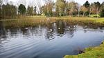 WaterView - Ferienhaus für 5 Personen (56 m²) in Oksbøl - Top-Hundeurlaub