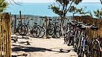 Ferienwohnung für 7 Personen (47 m²) in Noirmoutier-en-l'lle - Top-Hundeurlaub