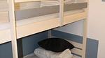 Untagged - Ferienwohnung für 6 Personen (28 m²) in Dévoluy - Top-Hundeurlaub
