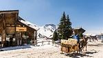 Ferienwohnung für 6 Personen (32 m²) in Avoriaz - Top-Hundeurlaub