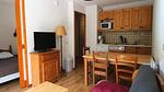 Untagged - Ferienwohnung für 7 Personen (37 m²) in Puy-Saint-Vincent - Top-Hundeurlaub