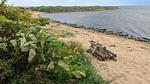 WaterView - Ferienhaus für 7 Personen (90 m²) in Tarm - Top-Hundeurlaub