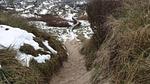 Outdoor - Ferienhaus für 11 Personen (150 m²) in Saltum - Top-Hundeurlaub