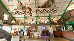 ParkFacilities - Bungalow für 8 Personen (100 m²) in Hollum - Top-Hundeurlaub