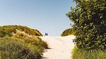AreaSummer5KM - Bungalow für 8 Personen (100 m²) in Hollum - Top-Hundeurlaub